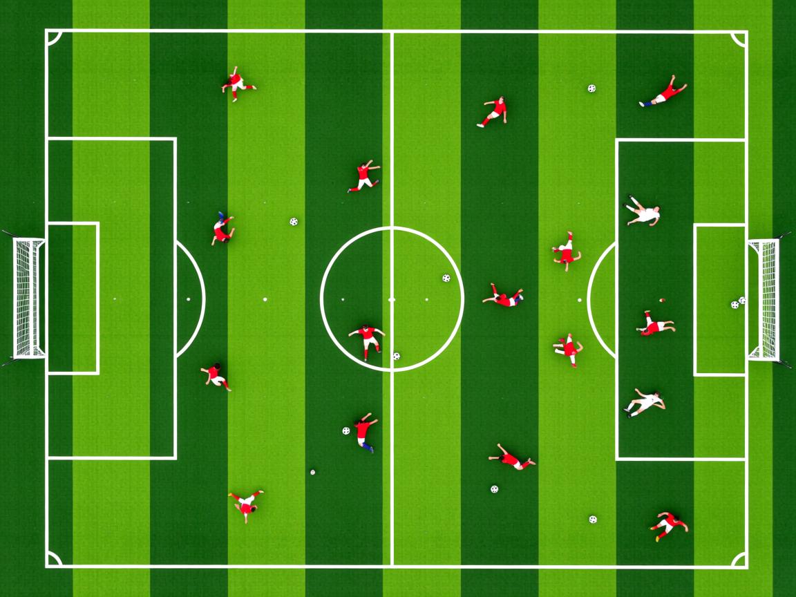 开云体育app-天府新区轻艇马拉松赛艇如飞，天府新区半程马拉松  第3张